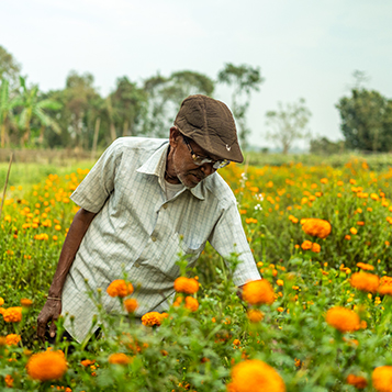 Farmer