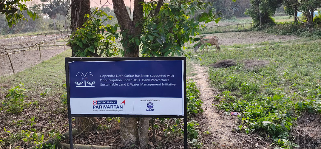 Flourishing Landscapes